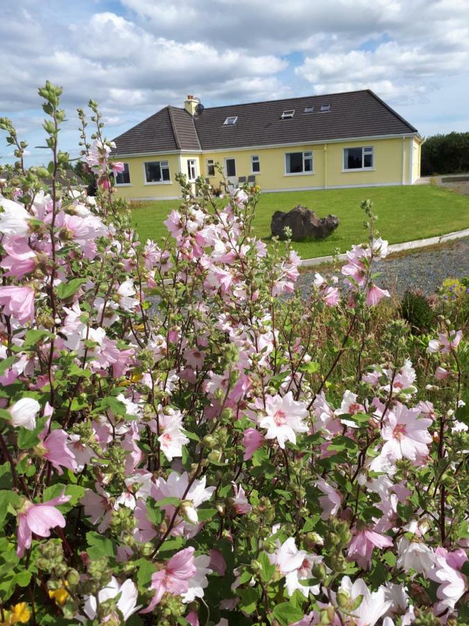 Tullaleagan Guesthouse Oughterard Kültér fotó